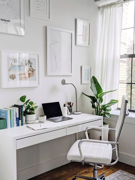 Office Decor Plants, Office Refresh, White Home Office, Colour Study, White Desk Office, Desk Plants, Plant Care Tips, Decor Plants, White Office