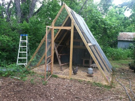 A-frame Chicken Coop | Houses 12 full time birds or 60 free … | Flickr Frame Chicken Coop, Reban Ayam, A Frame Chicken Coop, Chicken Coop Plans Free, Easy Chicken Coop, Portable Chicken Coop, Diy Chicken Coop Plans, Chicken Coup, Urban Chickens