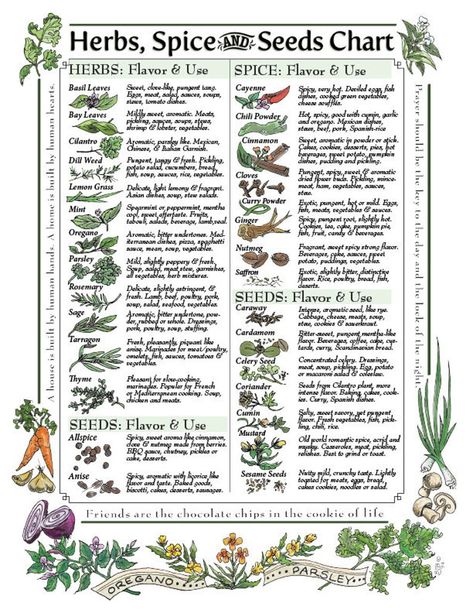 Downloadable: Herbs Spice & Seeds Chart for Kitchen | Etsy Spice Chart, Herbs List, Magickal Herbs, Witch Herbs, Magic Herbs, Magical Herbs, Spice Cabinet, Reference Chart, Spice Racks