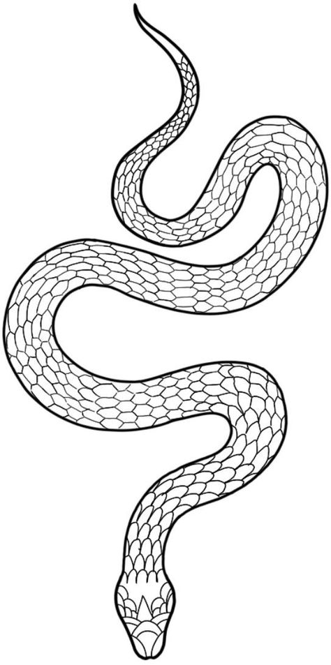 Tattoo Design Snake, Snake Outline, Snake Sketch, Dragon Tattoo Drawing, Small Snake Tattoo, Small Snake, Snake Drawing, Snake Tattoo Design, Tattoo Templates