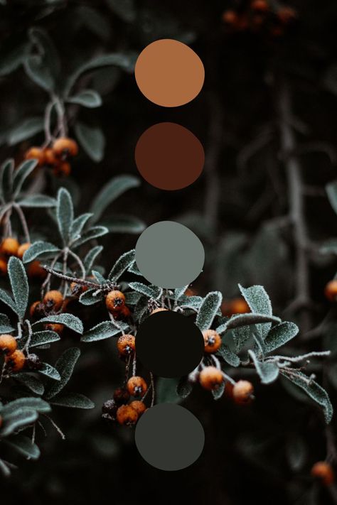 Fall Color Pallet 2023, Color Schemes Dark Academia, Moody Home Paint Palette, Dark Boho Color Scheme, Moody Aesthetic Color Palette, Fall Color Palette With Black, Dark Bedroom Color Palettes, Dark Neutral Wedding Color Palette, Dark Bohemian Color Palette