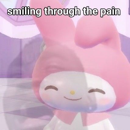 Funny Sanrio, Sanrio Reaction, Sanrio Meme, Smiling Through The Pain, Hello Kitty Funny, Sanrio Memes, Sanrio Pink, Hello Kitty Images, Hello Kitty Characters