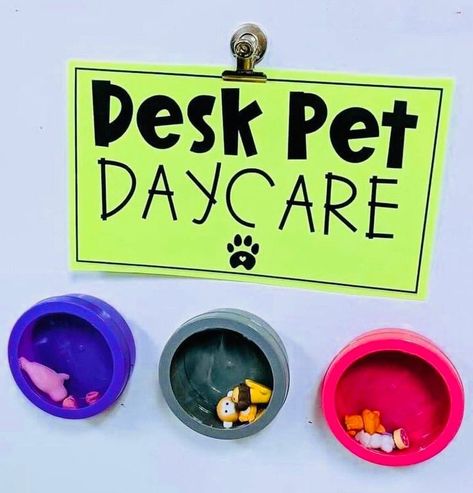 Jamie Kelly, Desk Pets, Preschool Behavior, Classroom Pets, Desk Pet, Classroom Management Elementary, Classroom Organization Elementary, Clever Classroom, First Year Teaching