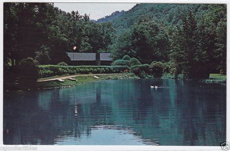 Gwynn Valley Camp, Brevard, NC Brevard Nc, Casual Outfit Inspiration, Blue Ridge, Summer Camp, Getting Out, North Carolina, Places To Go, The Outsiders, Favorite Places