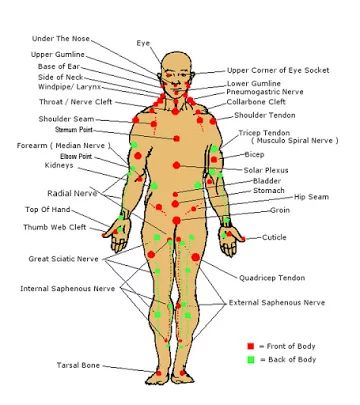 17 Self-Defense Tips - Memorize pressure points. Body Pressure Points, Martial Arts Sparring, Trening Sztuk Walki, Self Defence Training, Defense Techniques, Self Defense Moves, Self Defense Tips, Self Defense Martial Arts, Pressure Point