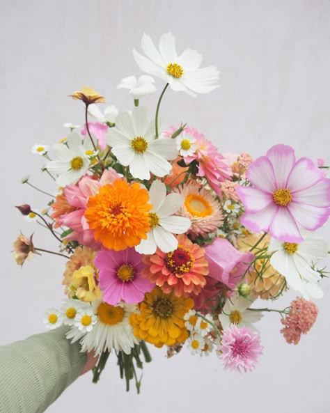 Orange Garden Party Dress, April Flower Arrangements, Cosmos Wedding Bouquet, Cosmos Wedding, Zinnia Bouquet, Dahlia Wedding Bouquets, Midsummer Wedding, Canterbury Bells, Dahlias Wedding