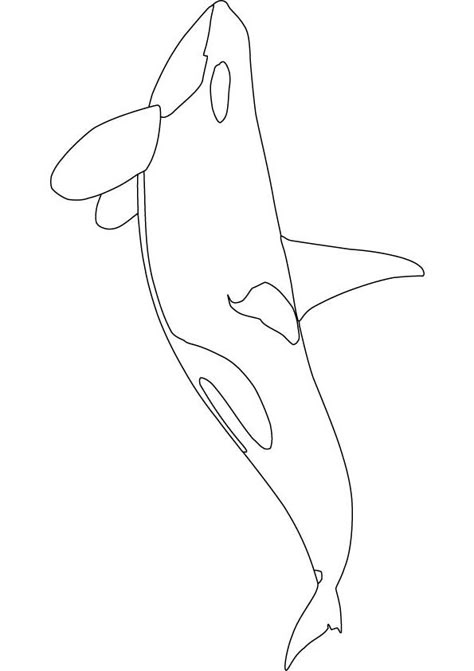 Coloring Pages for children is a wonderful activity that encourages children to think in a creative way and arises their curiosity. Description from printablecolouringpages.co.uk. I searched for this on bing.com/images Drawing Whale Shark, Orca Whales Drawing, Simple Orca Drawing, Orca Sketch, Orca Drawing, Orca Outline, Orca Coloring Pages, Orca Printables, Orca Art