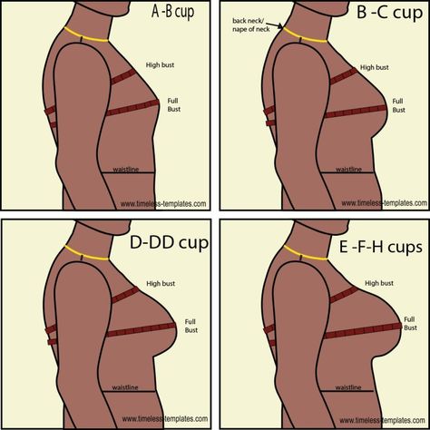 Finding Dress Bust Cup Sizes - Timeless Templates Human Body Proportions, Increase Breast Size, Moda Academia, Bra Sewing Pattern, Sewing Measurements, Corset Sewing Pattern, Bra Sewing, Bra Pattern, Fashion Sewing Tutorials