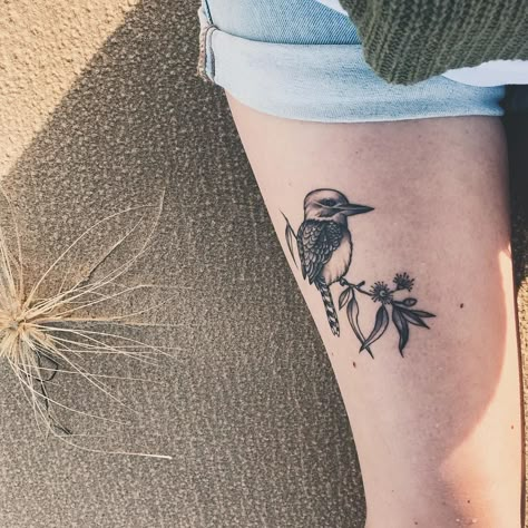 Simple Kookaburra Tattoo, Kukaburra Tattoo, Cookabura Tattoo, Kookaburra Tattoo Fine Line, Australian Themed Tattoo, Galah Tattoo, Australian Native Tattoo, Australian Tattoo Ideas, Australia Tattoo Ideas