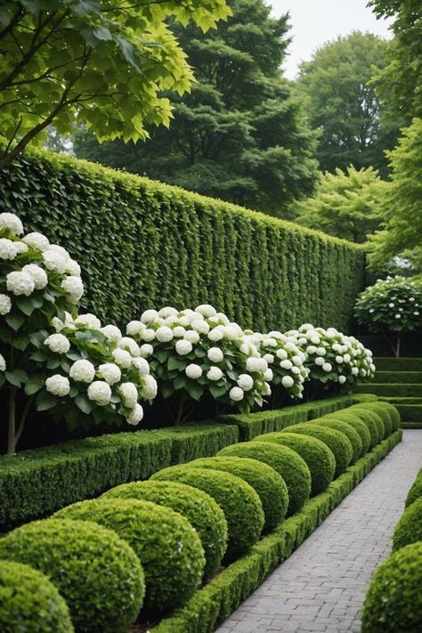 Luxury Backyard Garden, Front Garden Hydrangea, Small Hydrangea Garden, Stunning Garden Design, Exterior Plants Front Yards, Garden Flower Design, Buxus Garden Ideas, Incrediball Hydrangea Landscaping, White Hydrangea Landscaping