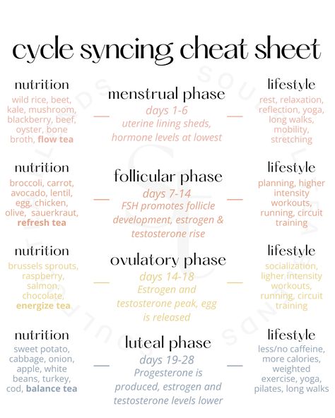 New to cycle syncing? 💫  We've got you covered 💞  Cycle syncing is an opportunity to understand the fluctuating nature of your cycle, and how to best support yourself during each phase 🌸  Some of the many benefits of cycle syncing include:  ✨ Your mood improves ✨ Your energy improves ✨ Your appetite and digestion get better ✨ Sleep quality goes up ✨ Your desire to socialize and get out there in the world increases  Click to get our free, printable cycle syncing food chart! Regulate Cycle Naturally, Cycle Chart Menstrual, How To Sync Your Cycle, Menstrual Cycle And Sleep, Cycle Syncing Lifestyle, Four Stages Of Menstrual Cycle, Phases Of Your Menstrual Cycle, Different Cycle Phases, Womans Cycle Chart