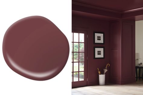 Behr Twinberry, Behr Maroon Paint Colors, Behr Moody Colors, Divine Wine Behr Paint, Ancient Burgundy Valspar, Rumors Behr Paint, Burgundy Paint Colors Wall, Raspberry Paint Color, Cranberry Paint Color