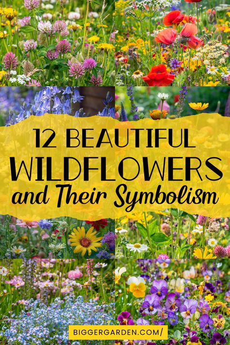 Find out what 12 popular wildflowers symbolize. Discover the hidden meanings that make them meaningful in nature. Flower Symbols And Meanings, Wildflower Meanings Chart, Irish Wildflowers Tattoo, Wildflower Meaning, Wild Thistle, Wildflower Photo, Flower Symbol, Secret Language, Garden Pest Control