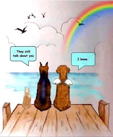 They still talk about you.....I know. 💞🌈 They Still Talk About You Dog, They Still Talk About You Dog Angel, Dog Heaven Quotes, Inspirational Animal Quotes, Pet Loss Dog, Dog Words, Dog Quotes Love, Dog Heaven, Pet Remembrance