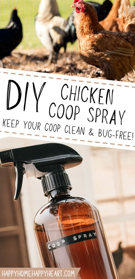 Diy Fly Spray For Chicken Coop, Rooster Coop Diy, Chicken Coop Fly Spray, How To Hide A Chicken Coop, Dog Run Chicken Coop Ideas, Corner Chicken Perch, Diy Mini Chicken Coop, How To Keep Chicken Coop From Smelling, Chicken Coop Smell Good