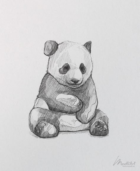 Nature Drawings Animals, Sketching Ideas Animals, Panda Drawing Sketches, Zoo Animal Sketches, Giant Panda Drawing, Drawing Ideas Animals Sketches Pencil, What Should I Draw In My Sketchbook, Endangered Animals Drawing, Panda Sketch Pencil Art