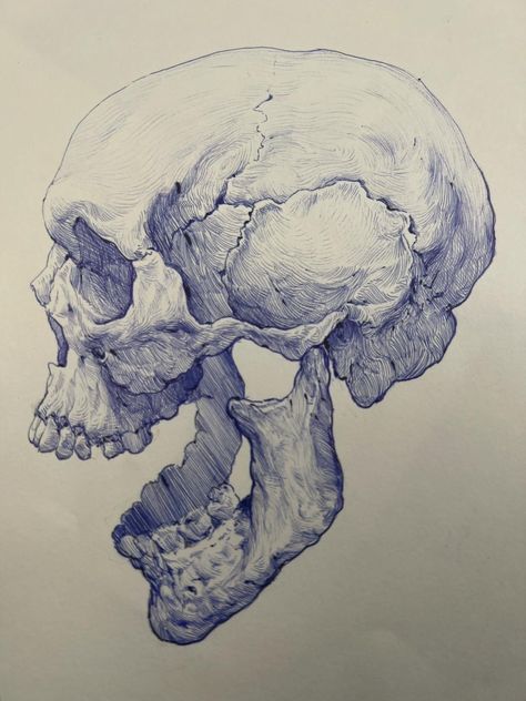 Skull Open Mouth Reference, Skull Pen Sketch, Skull Anatomy Sketch, Skeleton Ink Drawing, Human Skull Art, Skull Sketches Pencil, Organ Anatomy Drawing, Skull Profile Drawing, Skull Pencil Drawings