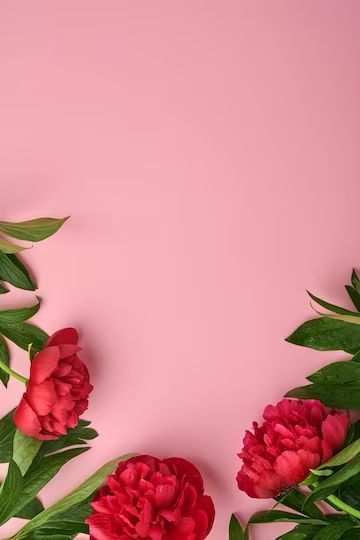 Mother’s Day Background, Mother Day Background, Mothers Day Background, Mothers Day Post, Mother's Day Banner, Mother's Day Background, Red Peony, Mother's Day Bouquet, Day Background