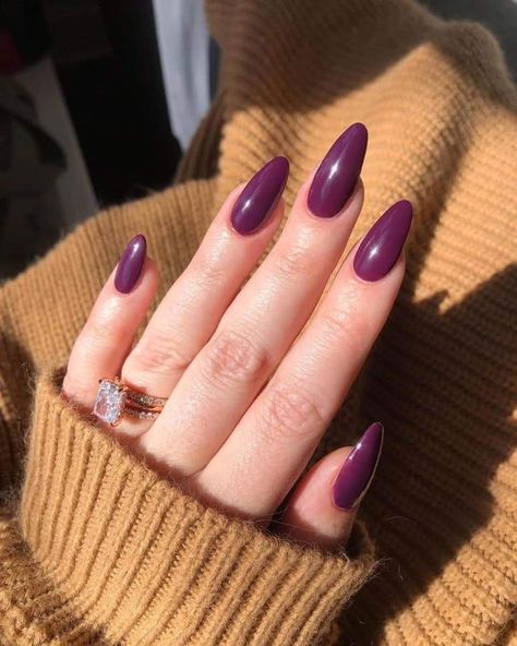 Plum Nails Almond Shape, Fall Nails Dark Purple, Deep Purple Nails Fall, Nails Plum Color, Eggplant Nails, Almond Nails Plum Colour, Nails Almond Medium, Purple Press On Nails, Color Uva