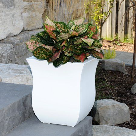 Winter Planter, Resin Planters, Vegetable Plants, Square Planters, Entrance Ways, Plastic Planters, Modern Addition, White Planters, Patio Roof