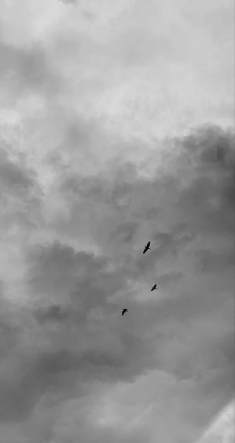 ملصق ديني, Rainy Day Aesthetic, Birds In The Sky, Black And White Art Drawing, Architecture Concept Drawings, Profile Pictures Instagram, Moon Photography, Gray Aesthetic, Cloudy Sky