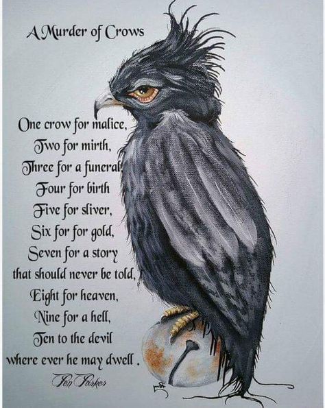 Crow Brings Gifts, Crow Sayings, Crows Poem, Crow Rhyme, Magpie Poem, Magpie Rhyme, Crow Poem, Tattoo Animal, Crows And Ravens