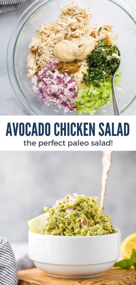 Looking for a healthier twist on chicken salad? Check out this Paleo Avocado Chicken Salad - it's creamy, mayo-free, and packed with flavor thanks to the avocado. Perfect for meal prep and low-carb too, it's a win-win for taste and health! Meal Prep With Avocado, Healthy Chicken Salad Recipes, Chicken Avocado Dinner, Chicken Salad Recipe Low Carb, Whole Foods Chicken Salad Recipe, Chicken Avocado Recipes, Keto Avocado Salad Recipes, Chicken Recipes Salad, Healthy Chicken Avocado Salad