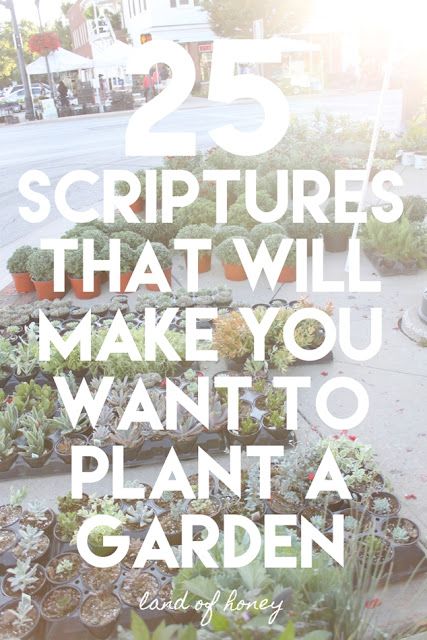 Faith Garden, Gardening Quotes Inspirational, Biblical Garden, Bible Garden, Garden Basics, Clearing Your Mind, Spiritual Garden, Preschool Garden, Tattoo Plant