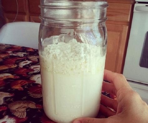 Como fazer kefir, o melhor de todos os probióticos | Cura pela Natureza Milk Kefir, Bulletproof Coffee, British Food, Milk Recipes, Fermented Foods, Pisco, Kefir, Kombucha, Nutrition Tips