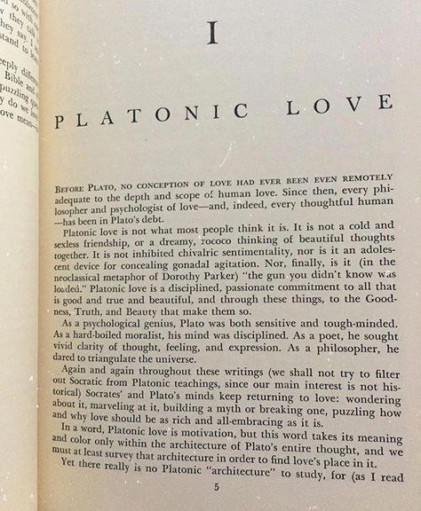 Platonic Love Letters, Soulmate Prompts, Platonic Soulmate Aesthetic, Platonic Love Aesthetic, Life Path Number 4, Morgan Aesthetic, Soulmate Art, Platonic Soulmate, Jungian Archetypes