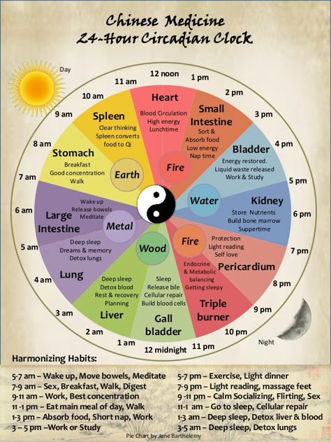 Meridian Clock, Chinese Body Clock, Energy Movement, Chi Energy, Body Clock, Eastern Medicine, Reiki Symbols, Energy Medicine, Qi Gong