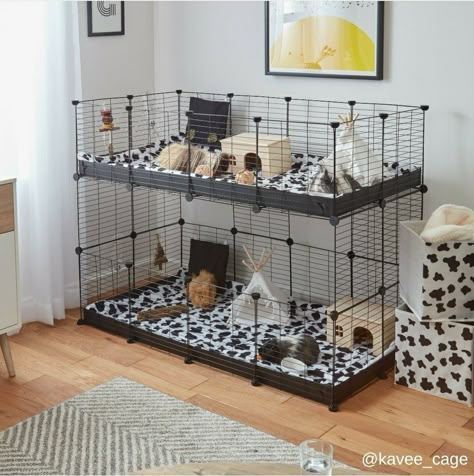 Small Bunny Cage Ideas, Guniea Pig Aesthetic Cage, Aesthetic Guinea Pig Cage, C And C Cage, Indoor Guinea Pig Cage, Guinea Pig Supplies, Guinea Pig Cage Ideas, Indoor Rabbit Cage, Diy Guinea Pig Cage