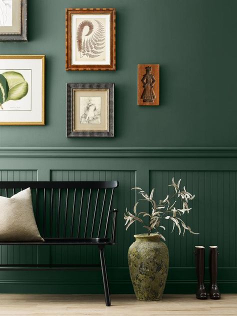 Sherwin-Williams' 2024 collection of blues and greens features the striking verdant hue, Billiard Green. This cool, forest-inspired shade is rich and organic with timeless appeal. (It's part of the brand's historical collection as well.) How You Can Use It Go green in an outside-to-inside space like a mudroom, foyer or entryway. This rich emerald will provide continuity with natural surroundings while creating a dazzling entrance to your home. Emerald Green Paint, Green Entryway, 2024 Color Trends, Sherwin Williams Green, Basement Paint, Trending Paint Colors, Color Forecasting, Sherwin Williams Colors, Green Paint Colors