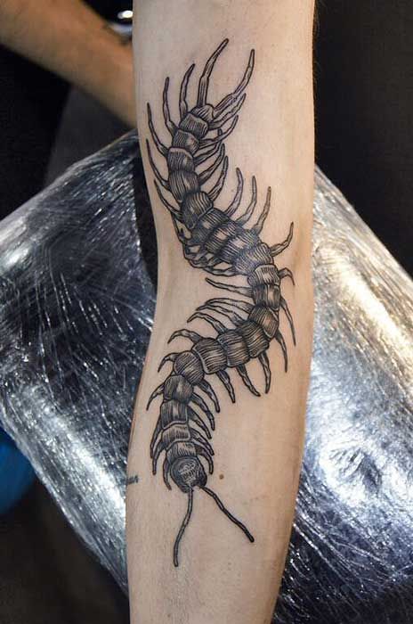 Japanese Tattoos For Men, Traditional Black Tattoo, Conquer Your Fears, Mysterious Beauty, Insect Tattoo, Bug Tattoo, Sick Tattoo, Are You Scared, Anime Tattoo