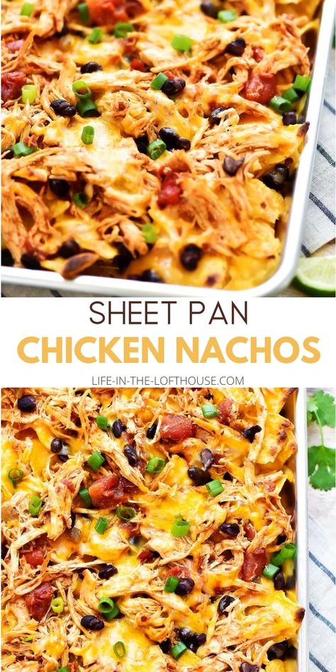 Seasoned Shredded Chicken, Chicken Black Beans, Chicken Nachos Recipe, Nachos Recipe Easy, Sheet Pan Chicken, Sheet Pan Dinners Recipes, Shredded Chicken Recipes, Chicken Nachos, Nachos Recipe