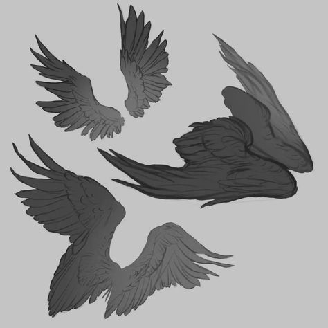 I'm dedicating some time to practicing drawing wings to enhance their dynamic movement and adapt them to various types of plumage. . . . . . . #sketch #wings #digitalart Feather Wings Drawing Reference, Fluffy Wings Drawing Reference, Feathers Drawing Reference, Bird Wings Reference Drawing, Winged Human Aesthetic, Wing Types Drawing, Folded Bird Wings, Vulture Wings Drawing, Feathered Wings Reference