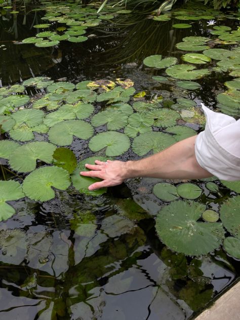 Science Green Aesthetic, Horticulture Major Aesthetic, Horticulture Student Aesthetic, Male Gardener Aesthetic, Cottagecore Aesthetic Boy, Plant Science Aesthetic, Jamie Core Aesthetic, Earth Boy Aesthetic, Natural Science Aesthetic