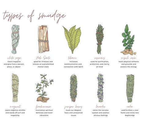 Different Smudging Sticks, Sage Bundles For Mosquitos, Lavender Sage Smudge Sticks, Smudging Without Sage, Thyme Smudge Stick, How To Make Sage Bundles Smudge Sticks, Make Your Own Sage Bundle, Cedar Sage Benefits, Different Smudge Sticks Meaning