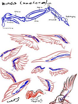 Wings Anime, Wing Anatomy, Bird Ears, Draw Book, How To Draw Ears, Feather Drawing, Skeleton Drawings, Ear Art, Wings Drawing