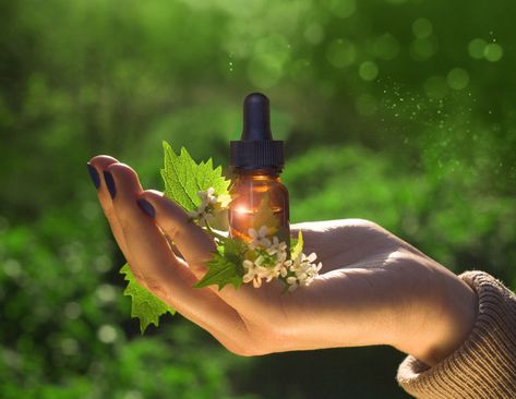 What Are Bach Flower Remedies? The 38 Bach Flower Remedies List with Uses #bach #bachremedy #bachflowerremedies #bachflowers #bachtherapy #flowertherapy #flowerremedies #floweressences Medicinal Flowers, Healing Flowers, Miraculous Healing, Bach Flowers, Homeopathy Remedies, Organic Aloe Vera Gel, Flower Remedies, Bach Flower Remedies, Mens Facial