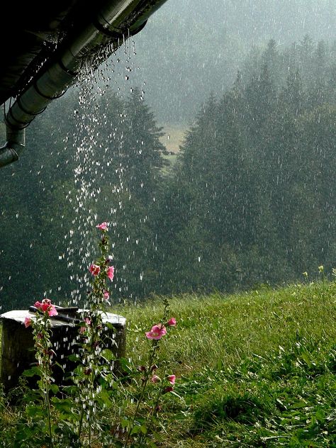 Mountains The Downpour Rain Mersa - Free photo on Pixabay Rainy Day Photography, Beautiful America, Smell Of Rain, I Love Rain, Rain Wallpapers, Love Rain, Singing In The Rain, Summer Rain, Sound Of Rain