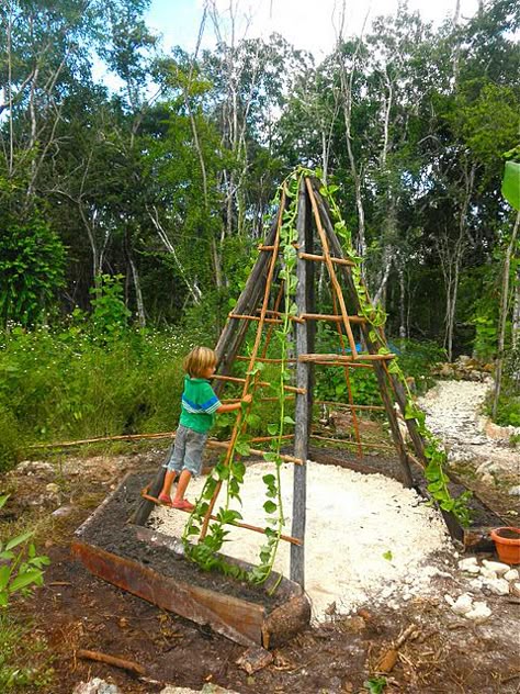 Giant Tepee Garden - what a creative idea for repurposing branches and natural materials & provide an amazing play space for kids. They can watch climbing beans grow up as a natural shade cover, plant other edibles to nibble on in the planter box around the edge and use their imagination for games. Make a 'Jack & the Beanstalk' garden @ http://themicrogardener.com/jack-the-bean-stalk-theme-garden/ | The Micro Gardener Teepee Garden, Outdoor Play Space, Outdoor Play Spaces, Natural Play, Sensory Garden, Kids Garden, Children's Garden, Natural Playground, Outdoor Classroom