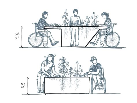 Designing Gardens Accessible to All - Ecological Landscape Alliance - Seated Access Planters Healing Garden Design, Healing Landscape, Ecological Landscape, Social Housing Architecture, Accessibility Design, In Praise Of Shadows, Land Design, Housing Architecture, Architecture Portfolio Layout