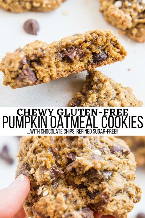 Gluten-Free Pumpkin Oatmeal Cookies with Chocolate Chips are a chewy, delightful fall-inspired treat. Sweetened with coconut sugar, these oatmeal chocolate chip cookies are refined sugar-free. Whip up a batch of these warmly-spiced delights to share with friends and family! Oatmeal Cookies With Chocolate Chips, Pumpkin Breakfast Cookies, Cookies With Chocolate Chips, Pumpkin Oatmeal Cookies, Best Gluten Free Desserts, Delicious Paleo Recipes, Cookies With Chocolate, Chocolate Oatmeal Cookies, Healthy Cookie