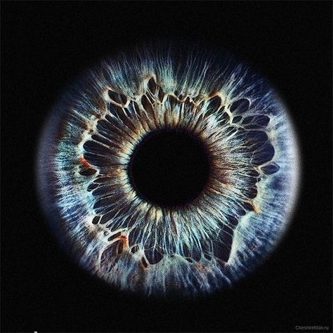 Humain . Eye .                                                                                                                                                                                 Plus Iris Eye, Iris Art, Eye Close Up, Close Up Photography, Eye Photography, Aesthetic Eyes, Human Eye, Natural Forms, Eye Art