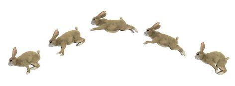 Rabbit Side View, Bunny Running, Tattoo Rabbit, Animals In Motion, Bunny Jump, Jump Animation, Animation Frames, Animal Animation, Running Illustration