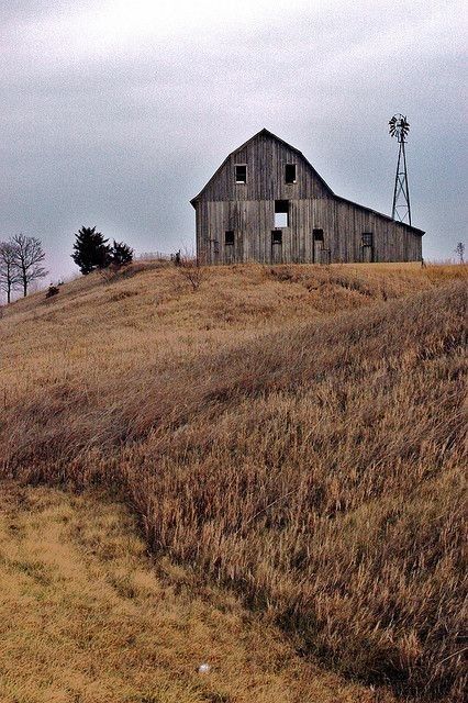 Old wooden barn with windmill in background in a wheat field. Barn Pictures, Country Barns, Barns Sheds, Farm Barn, Country Scenes, Old Barns, Old Farm, Old Barn, Barn Quilts