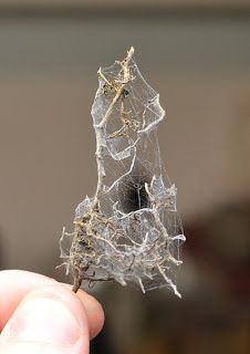 MASSIVE VOODOO: Tutorial - Realistic Spiderwebs D&d Terrain, Realistic Tutorial, Miniature Basing, Model Terrain, Haunted Doll, Haunted Dollhouse, Halloween Miniatures, Haunted Dolls, Halloween Village