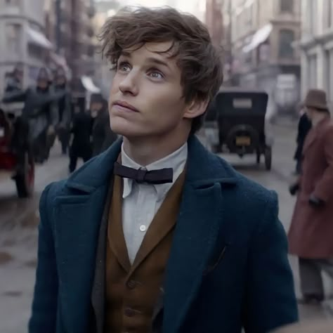 Newt Scamander Imagines, Newt Salamander, Fantastic Beast, Newt Scamander, Eddie Redmayne, Fantastic Beasts And Where, Fictional Crushes, Harry Potter Fantastic Beasts, Newt