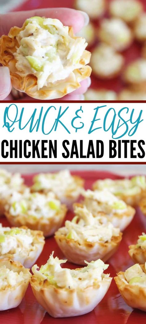 Chicken Salad Bites, Phyllo Cup Recipes, Appetizers For Party Bite Size, Chicken Salad Appetizer, Appetizer Chicken, Salad Bites, Cold Appetizer, Cup Recipes, Phyllo Cups